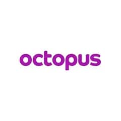 Octopus Home Maintenance & Renovation logo