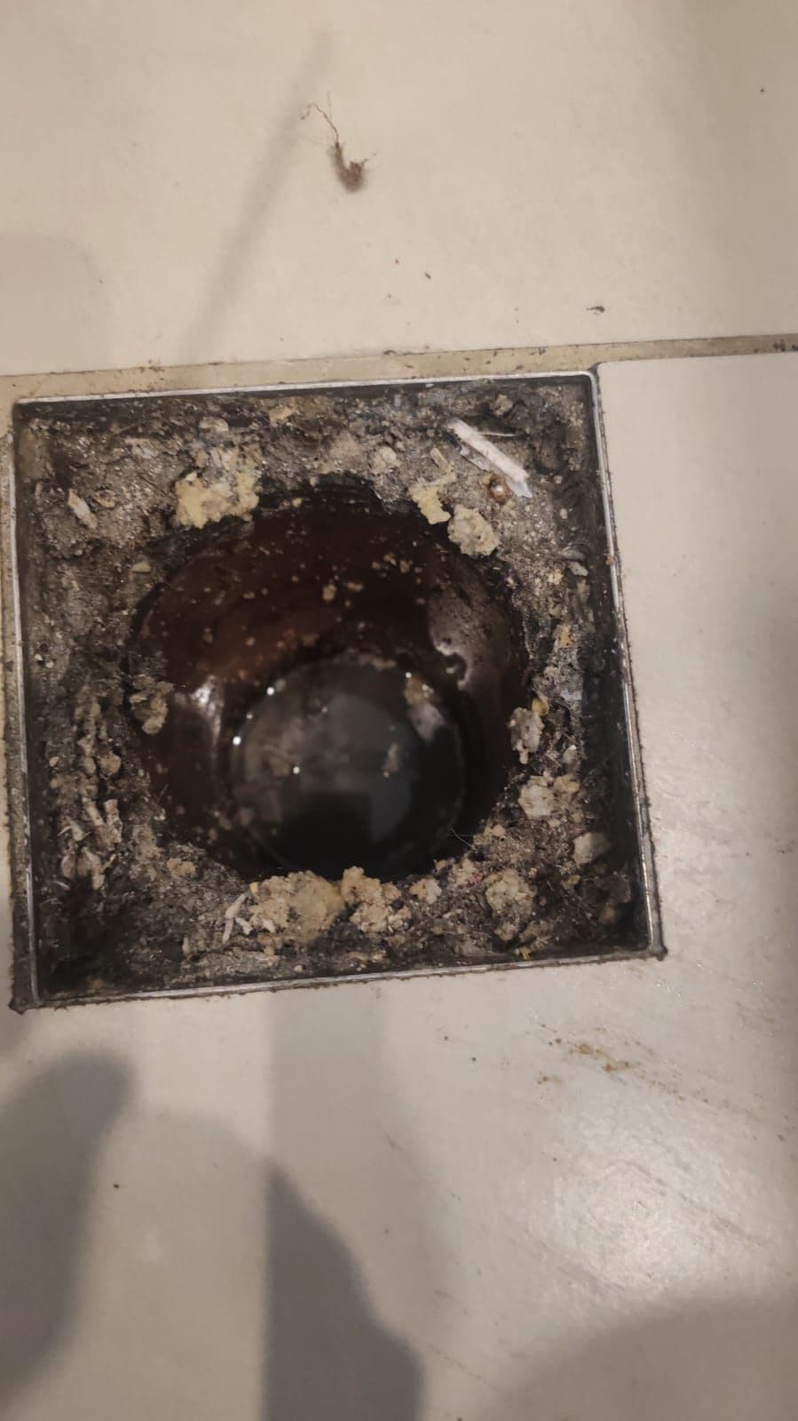 Drain Cleaning Pro photo 1