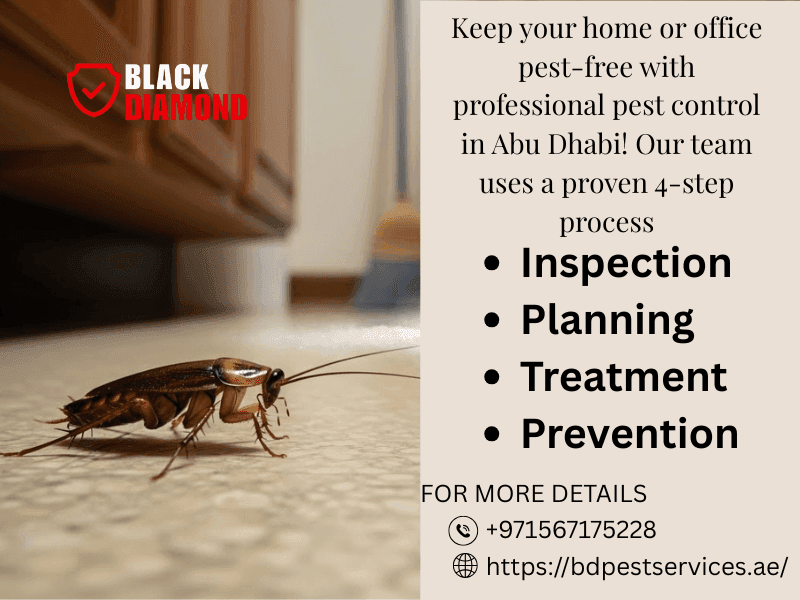 BD Pest Services photo 1