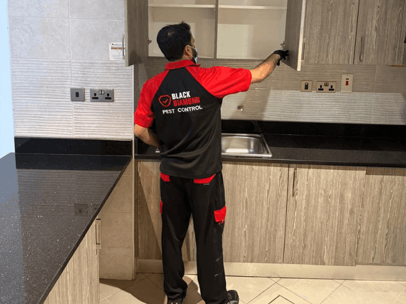 BD Pest Services photo 2