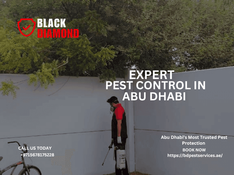 BD Pest Services photo 3