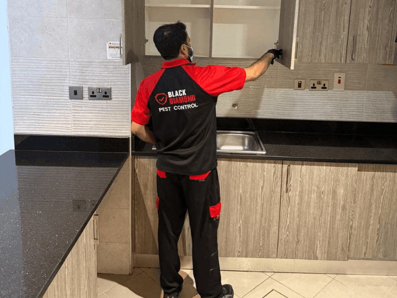 Black Diamond Pest Control Abu Dhabi 2